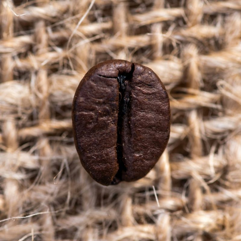 hans-ripa-qgLWj7hI4fk-unsplash